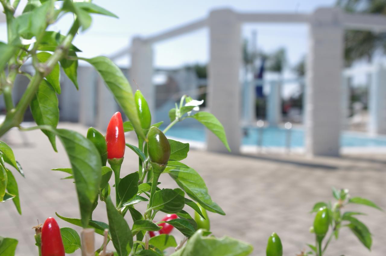 Hotel Nicolaj Polignano a Mare Dış mekan fotoğraf